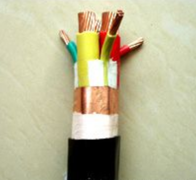 Variable frequency power cable BPYJVPP2